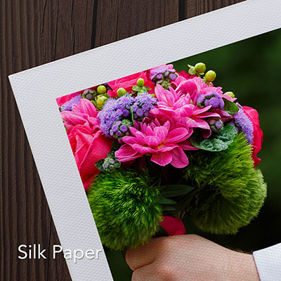Silk Paper Preise