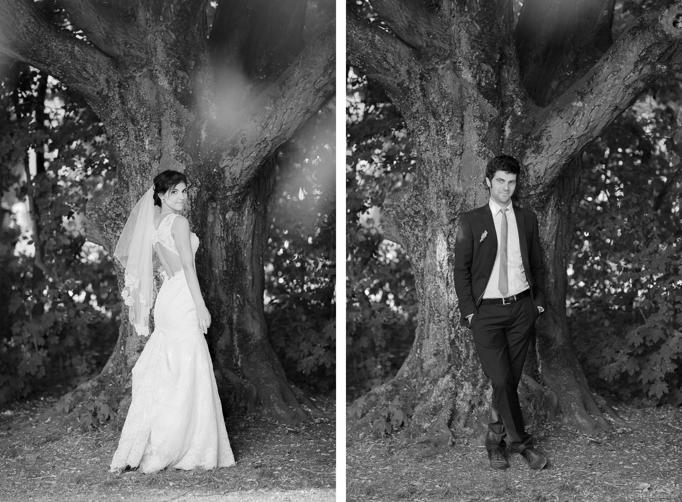 Романтическая свадьба – ищу фотографа на свадьбу