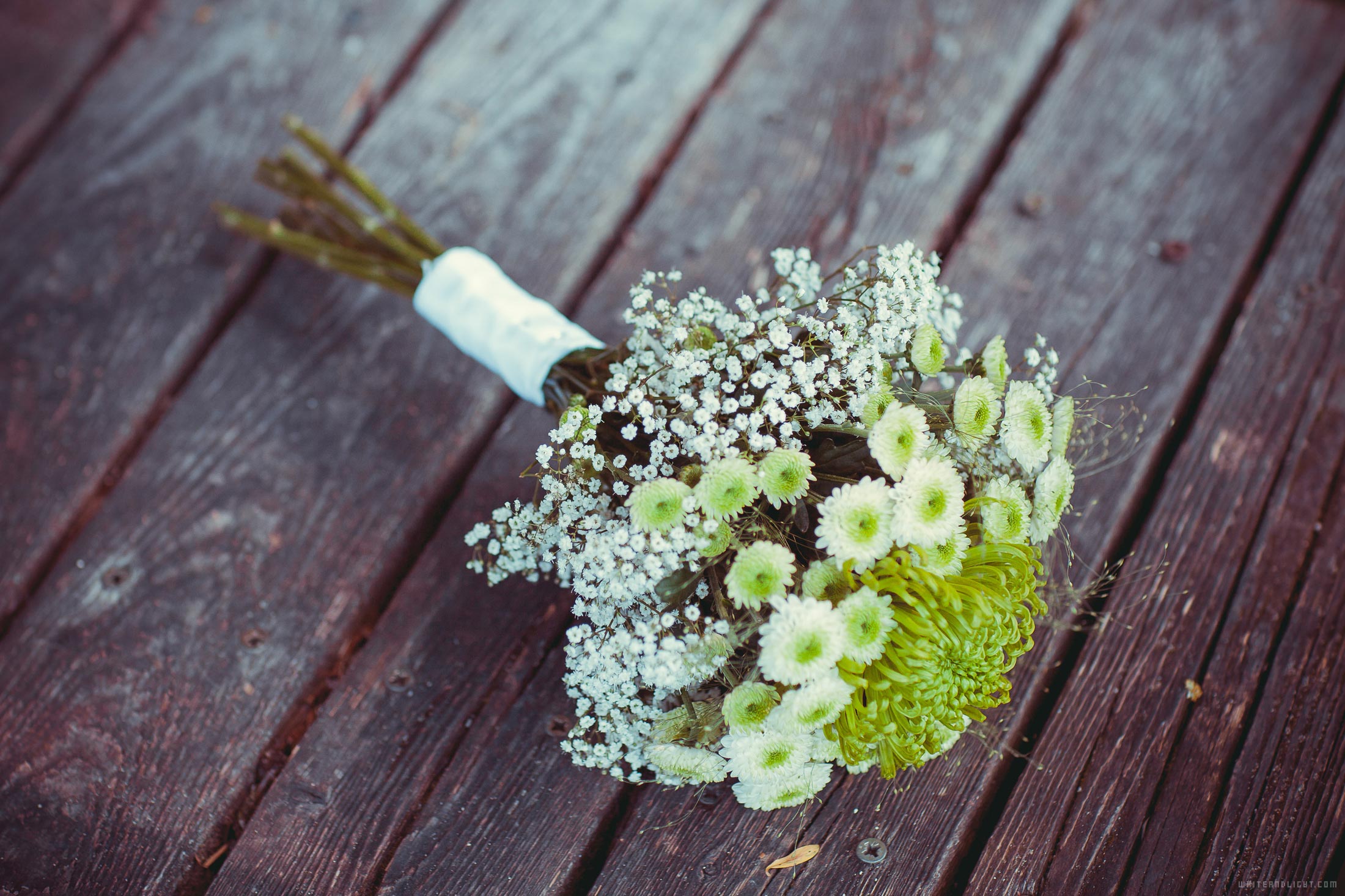 ansteckblumen kosten